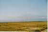 Amboseli Nemzeti Park, háttérben a Kilimandzsáró