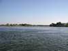 Zambezi folyó