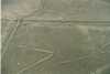 Nazca vonalak, Pók (46 m)