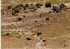 Petrified forest Arizona