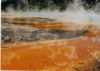Yellowstone NP Wyoming