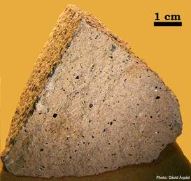 BIOTIT