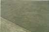 Nazca vonalak, Pelikán (280 m)