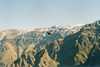 Colca Kanyon, kondorkeselyű2