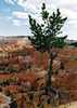 Bryce Canyon Utah