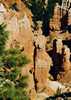 Bryce Canyon Utah