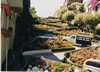 San Francisco Crookedest steet