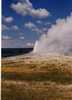 Yellowstone NP Old Faithfull Wyoming