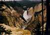 Yellowstone NP Wyoming